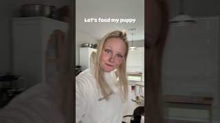 A realistic “let’s feed my puppy” 🥰#feedmypuppy #dogmom #germanshepherdpuppy #rawfed #rawfeddog