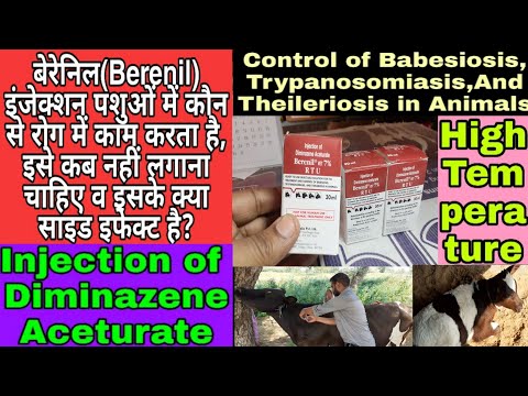 BERENIL VET INJECTION 7%