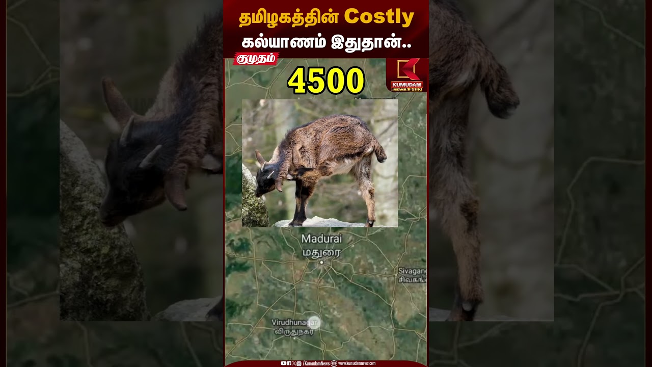 தமிழகத்தின் Costly கல்யாணம் இதுதான்👆🏻| Minister Moorthy | Costly Marriage in Tamil Nadu|Kumudam News