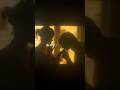 Until I Found You Stephen Sanchez Em Beihold Sped Up Lyrics Music Asthetic Whatsappstatus