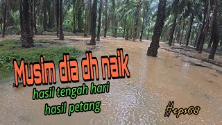 Download lagu Tahan jaring ikan/gelombang ke 2/ikan naik melepas telur/padu mantap (#eps68) mp3 Download lagu Tahan jaring ikan/gelombang ke 2/ikan naik melepas telur/padu mantap (#eps68) mp3
