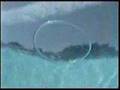 Amazing water circles 