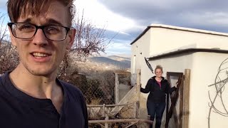 We Never Thought We Would Do This in Spain | Working on a Spanish Vineyard