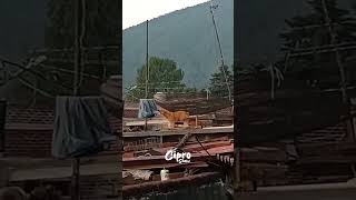 Miren lo que hace este perrito 🫢 #viralvideo  #humor
