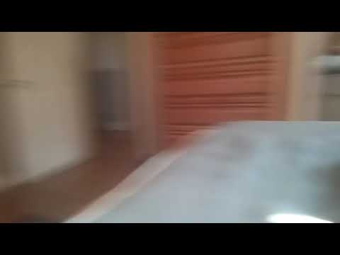 Honk honk I am goose