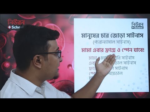 NEURON PLUS School video thumbnail