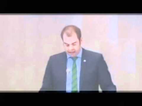 Det finns ingen dansk Zlatan