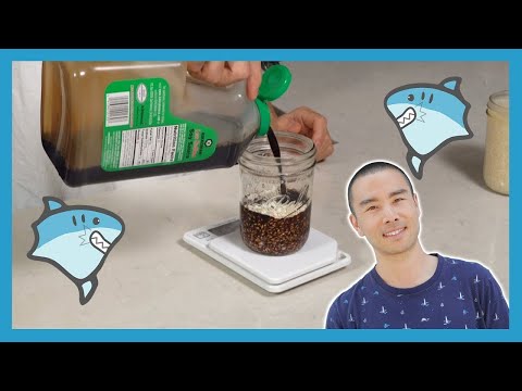 Shoyu koji | recipe for shoyu koji sauce (EASY!)