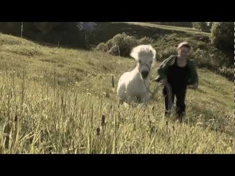 You have stolen my heart