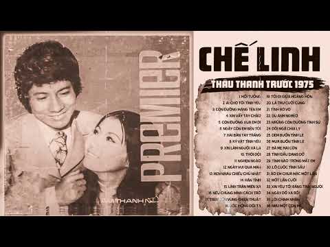 Hồi Tưởng - Nhạc vàng Chế Linh trước 1975 - Chế Linh Nhạc Xưa Tuyển Chọn