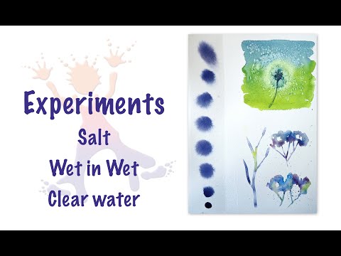 Seed Head Experiments