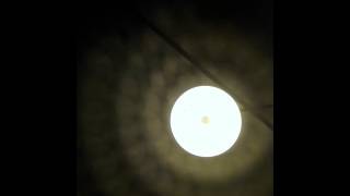 The Friendly Beasts (Traditional English Carol) sung by Emily Hall