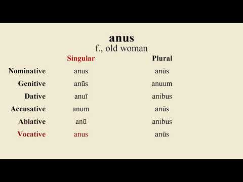 Loquere Latīnē - How to Pronounce anus