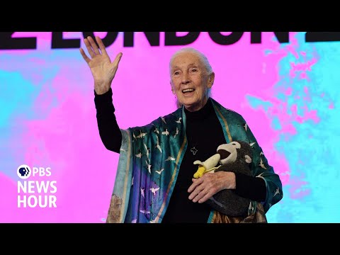【緬懷珍·古德博士】一同回顧她是如何讓人類重新認識動物！ (Remembering Jane Goodall and how she changed the way people see animals)