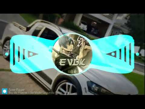 SO VOLTO SEGUNDA FEIRA QUANDO MINHA MÃE LIGAR - BIU DO PISEIRO