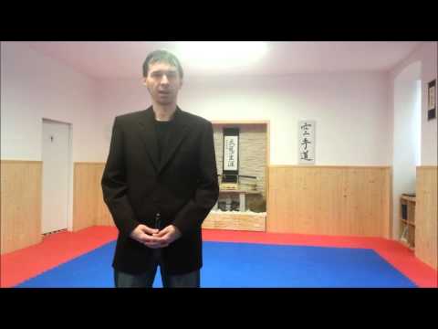 Podpořte členy týmu reprezentace na MS v bojovém umění