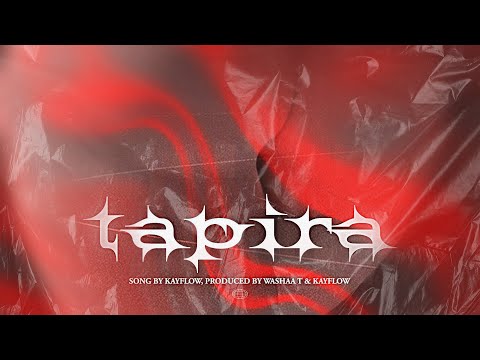kayflow_zwe - tApiRA
