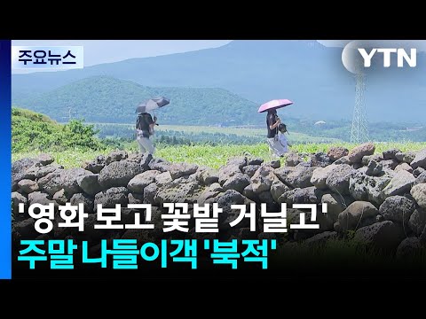 '영화 보고 꽃밭 거닐고'...주말 나들이객 '북적' / YTN