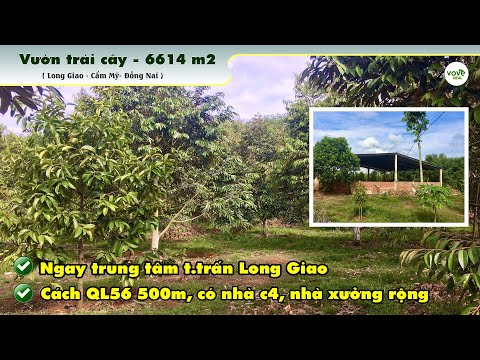 Bán vườn Sầu Riêng ngay trung tâm thị trấn Long Giao cách Ql56 chỉ 500m
