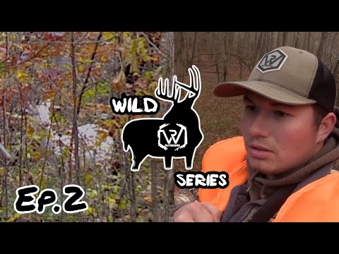 Opening Day Success: Public Land Kentucky Buck Albino???