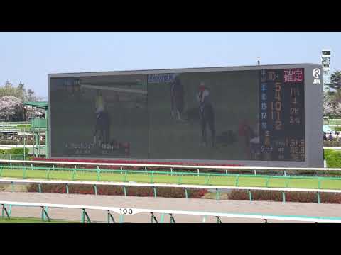 2019.04.13　中山競馬場11レース　中山グランドジャンプ（J・GⅠ）本馬場入場、全出走馬紹介