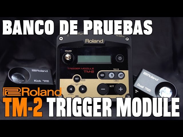 Vídeo relacionado con Roland TM-2, acústica drum Trigger modulo, multicolor, 2 inputs