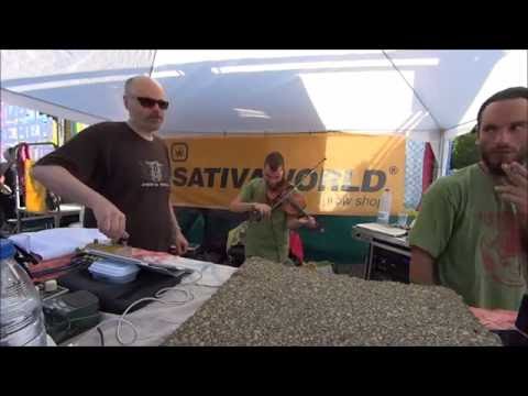 Vibronics(Feat.Dub String)-NowaBeach-Dub Beach Sativa(Nowa Reggae 2016)