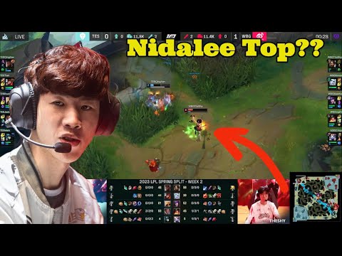 TheShy Plays Nidalee Top In The LPL And This Happens...