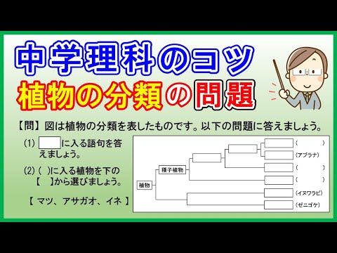 セントロポゴン・グティエレジイ