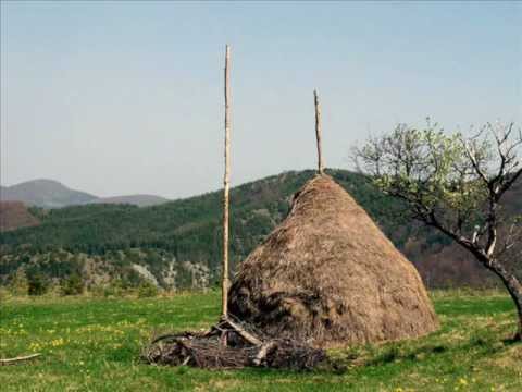 VLASKA Dragutin Mincuna Jabukovac