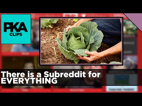 There is a Subreddit for EVERYTHING - PKA Clip