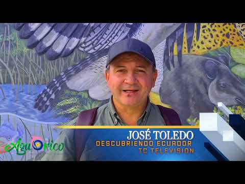 José Toledo TC Televisión