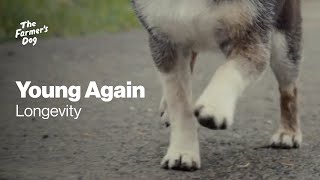 The Farmer's Dog Young Again