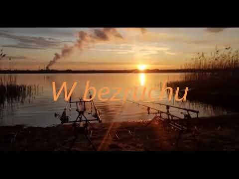 L.Gawlik:Covid-19[original song]