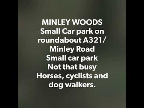 Luna-tic Pooches video.