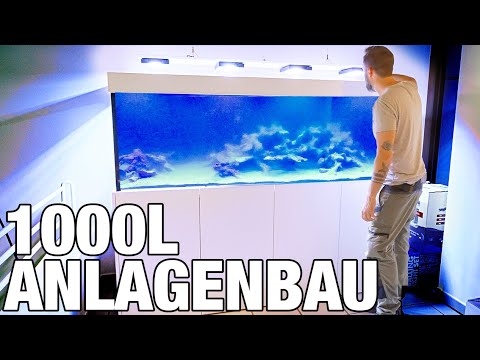 1000L Meerwasser Aufbau vom Feinsten