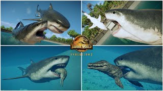MEGALODON ALL PERFECT ANIMATIONS & INTERACTIONS - JURASSIC WORLD EVOLUTION 2