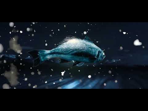 Masha Qrella - Blaudunkel (Official Video)