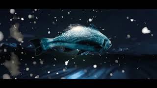 Masha Qrella - Blaudunkel (Official Video)