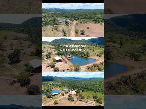 Fazenda de Pecuária à venda em Uruaçu-GO - 106 Alqueires (513 Ha)  #fazendaavenda  #agro
