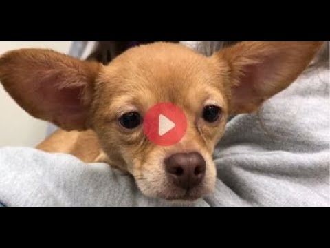 Life is Better with Friends