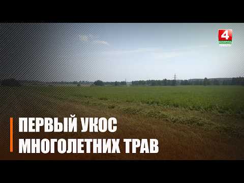 Первый укос многолетних трав завершают в Гомельской области