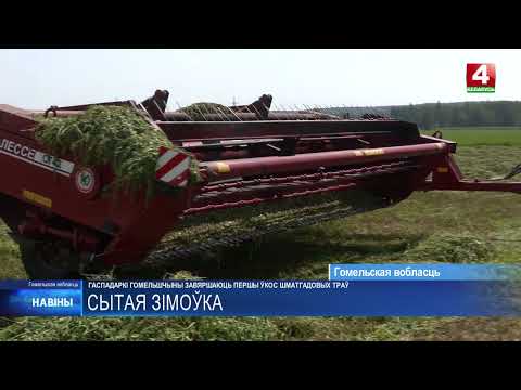 Первый укос многолетних трав завершают в Гомельской области видео