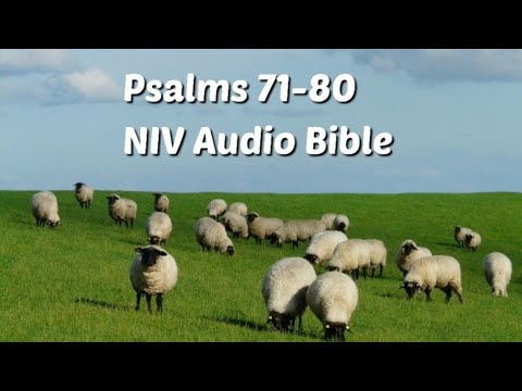 Psalms 71-80: NIV Audio Bible(with text)