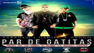 Par de gatitas -Farruko ft Gadiel & ñengo flow 2011