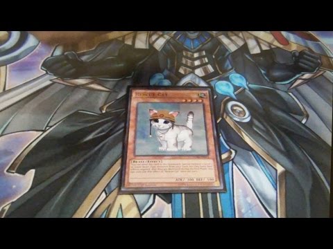 Yugioh YCS Denver Top 8 Deck Profile - Infernoid Zoodiac with Rescue Cat - Quinton Brown