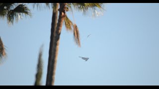 USAF LOW B-2A "Spirit Of Missouri" Flyover At The 2015 Tournament Of Roses