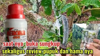 Download lagu Review of the opening of the connection results in the early 10th month mp3