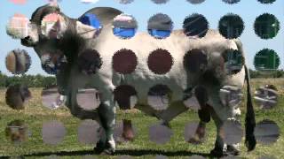 los dos hermanos.vicente fernandez