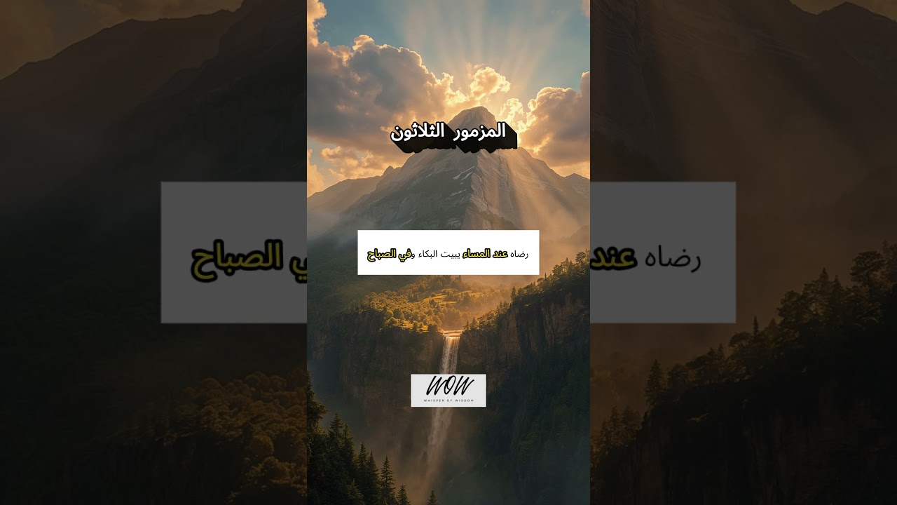 فيديو تفسير الكتاب المقدس | الكتاب المقدس رفيقي